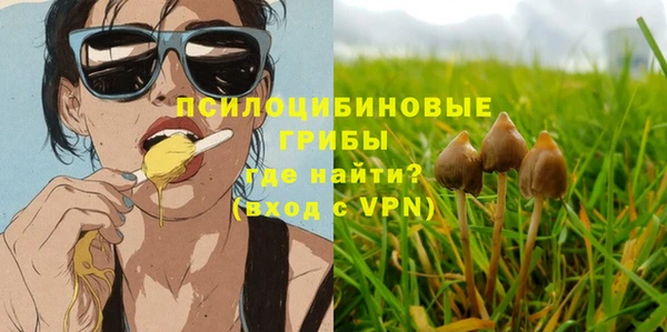PSILOCYBIN Белоозёрский
