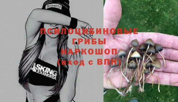 МДПВ Беломорск