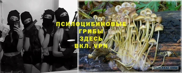 PSILOCYBIN Белоозёрский