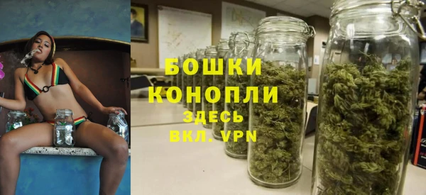 PSILOCYBIN Белоозёрский