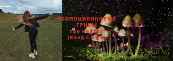 кокаин премиум Белокуриха