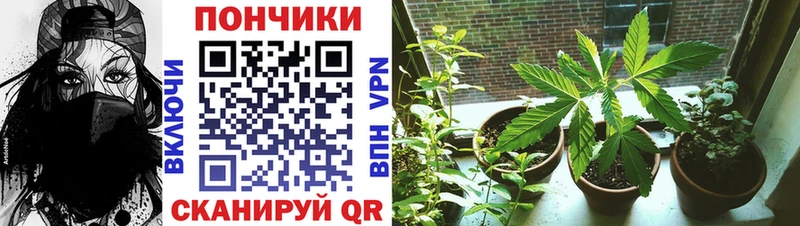 Марихуана VHQ Красноперекопск